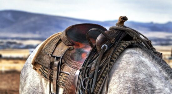 western