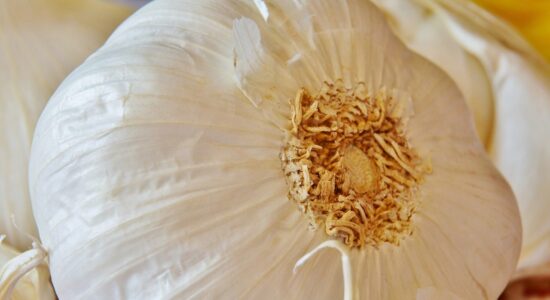 aglio