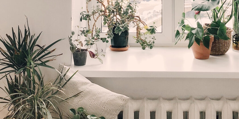 angolo verde