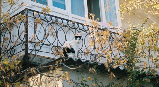 balcone