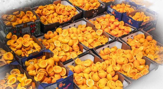 buccia di arancia