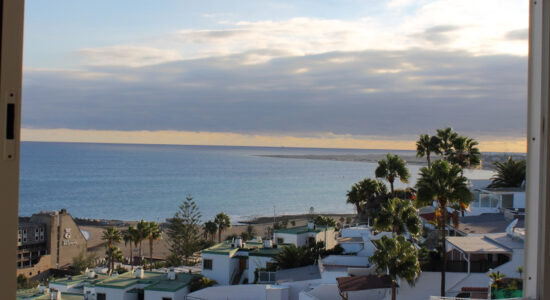 canarie