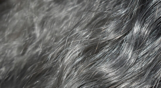 capelli