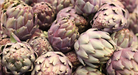 carciofi