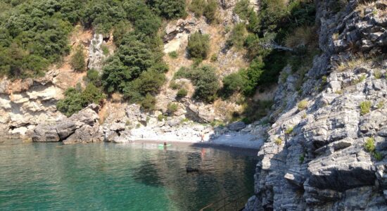 cilento