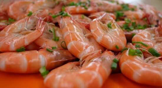 crostacei