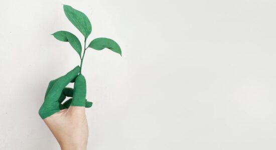 ecosostenibilità