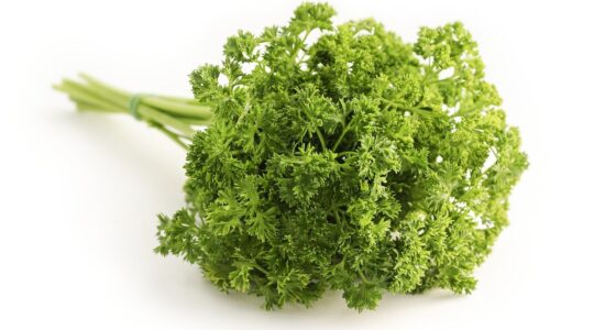 erbe aromatiche