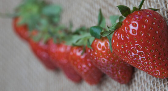 fragole
