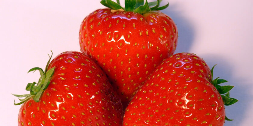 fragole