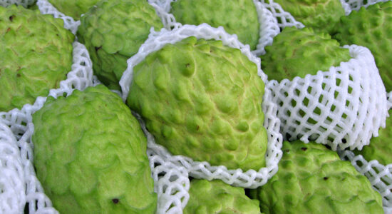 frutto