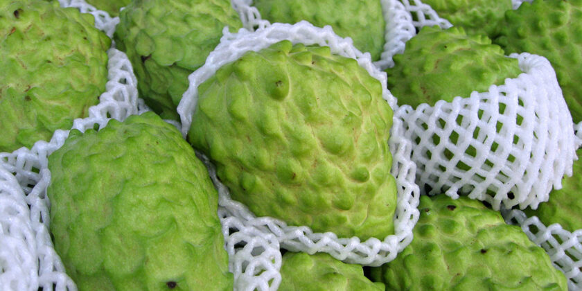 frutto