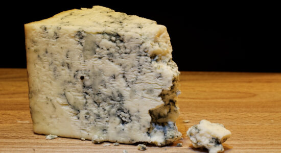 gorgonzola