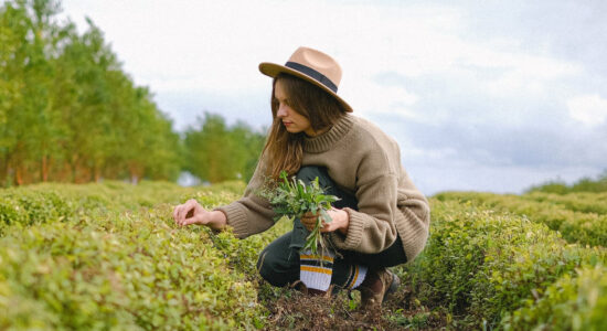 lavoro agricolo