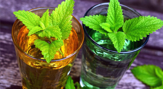 menta