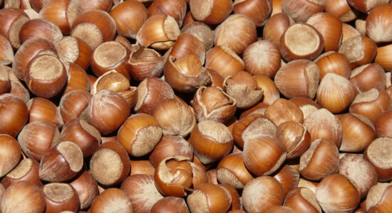 nocciole