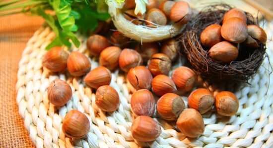 nocciole