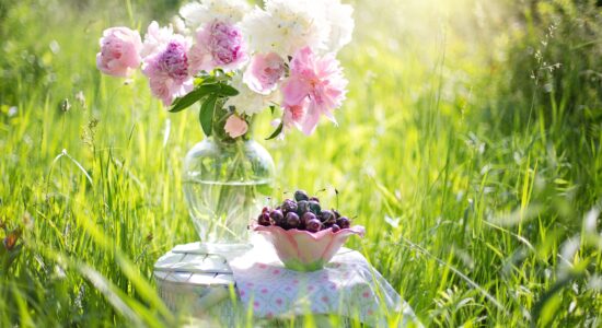 peonie