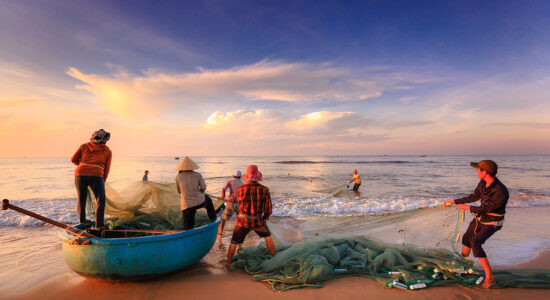 pesca
