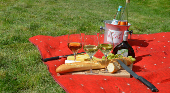 picnic