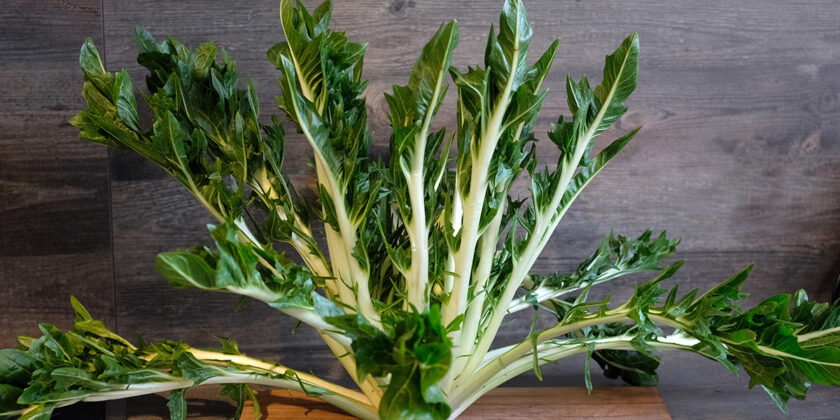 puntarelle