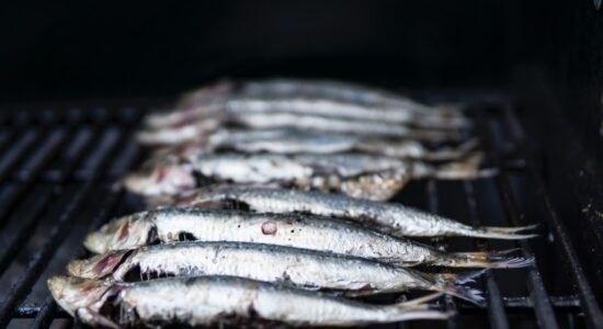 sardine