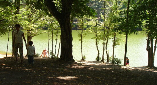 Foresta Umbra Gargano