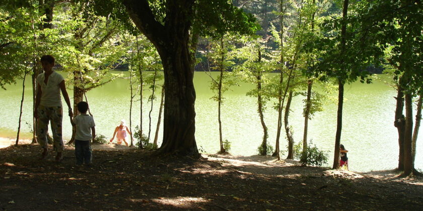 Foresta Umbra Gargano