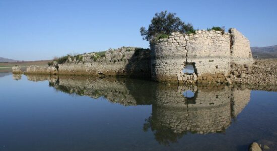 Mazzallakkar