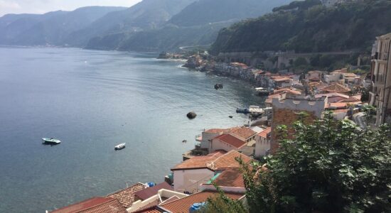 Scilla
