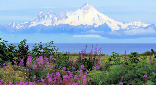 alaska