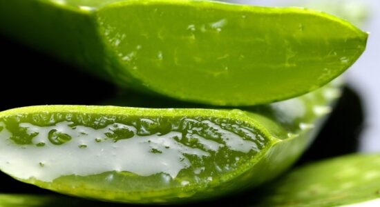 aloe