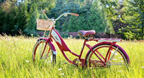bici