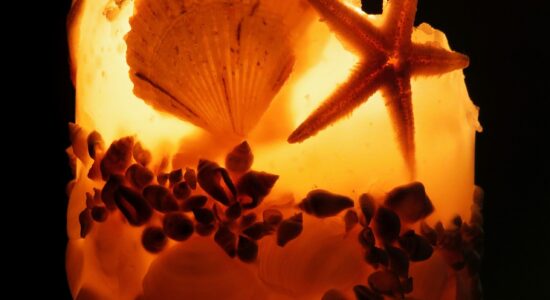 Candela con conchiglie