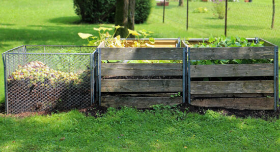 compost