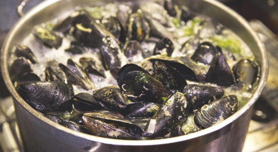 cozze