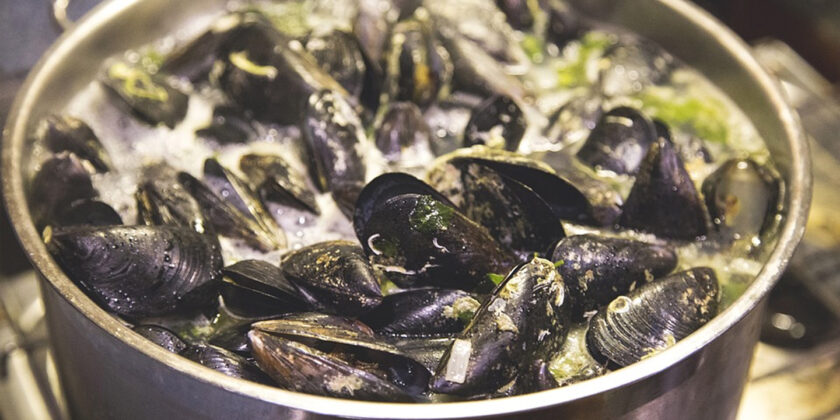 cozze