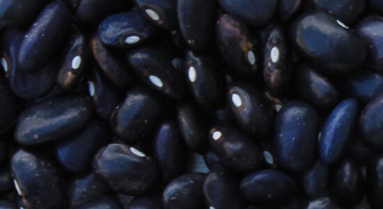 fagioli neri