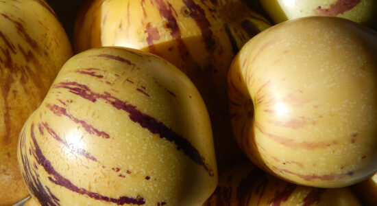frutta