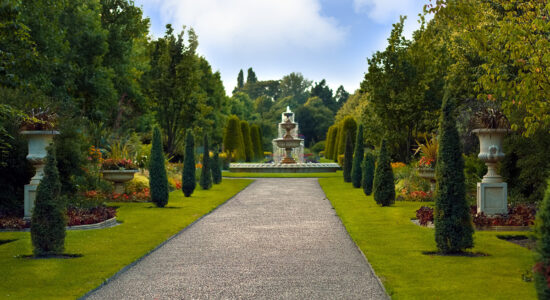 giardino