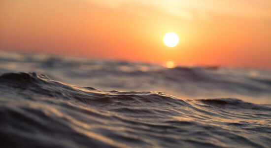 mare