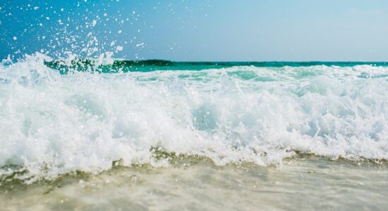 mare