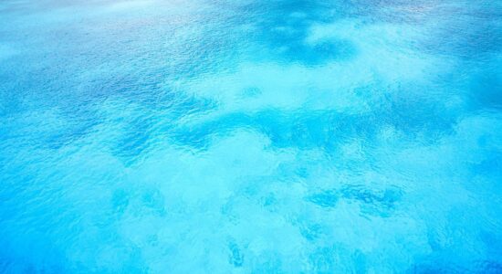 mare