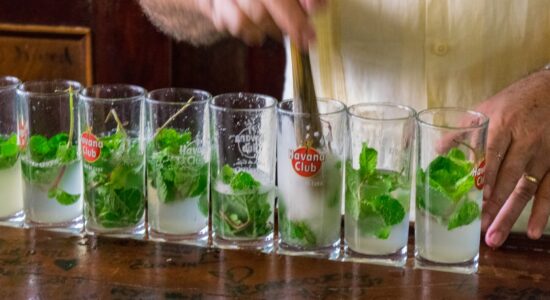 mojito