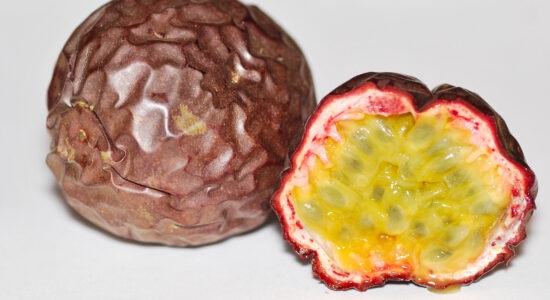 passion fruit