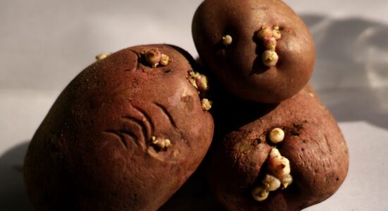 patate