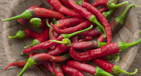 peperoncino