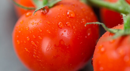 pomodoro