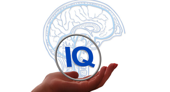 quoziente intellettivo