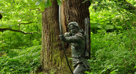 foresta si Sherwood